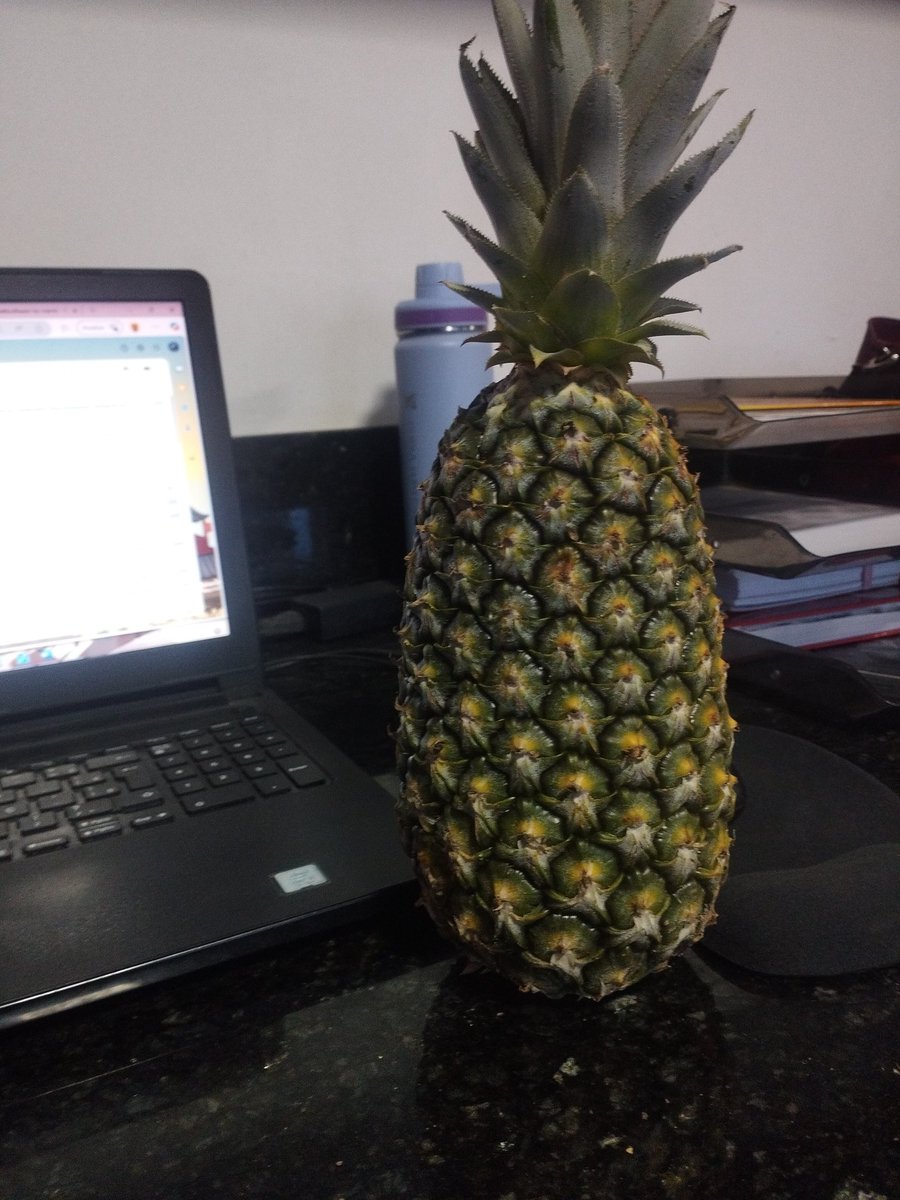 ysmvs's tweet image. atenção, a empresa presenteou os funcionários com um abacaxi!!