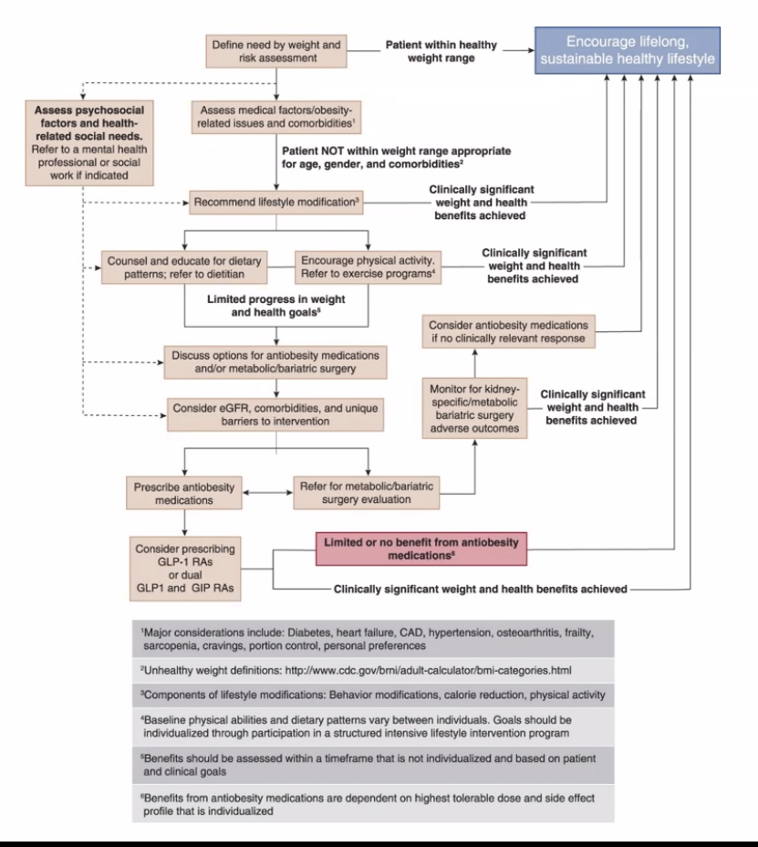 Owner_X429's tweet photo. Obesity and kidney https://t.co/M0W6uzCDXK