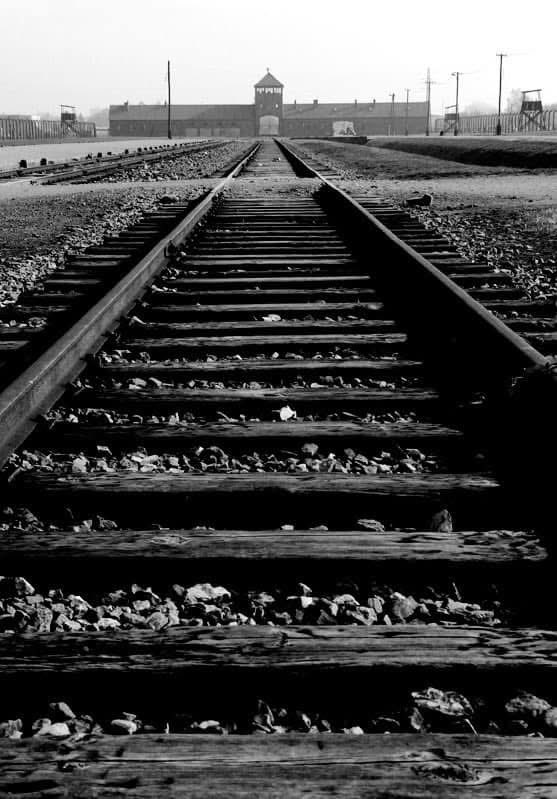 Never forget how it came to be: little by little...hateful rhetoric, fear-mongering, designations of discrimination, radically inhumane nationalism, white supremacy...all festering until reality reflected rhetoric, until...

#HolocaustRemembranceDay