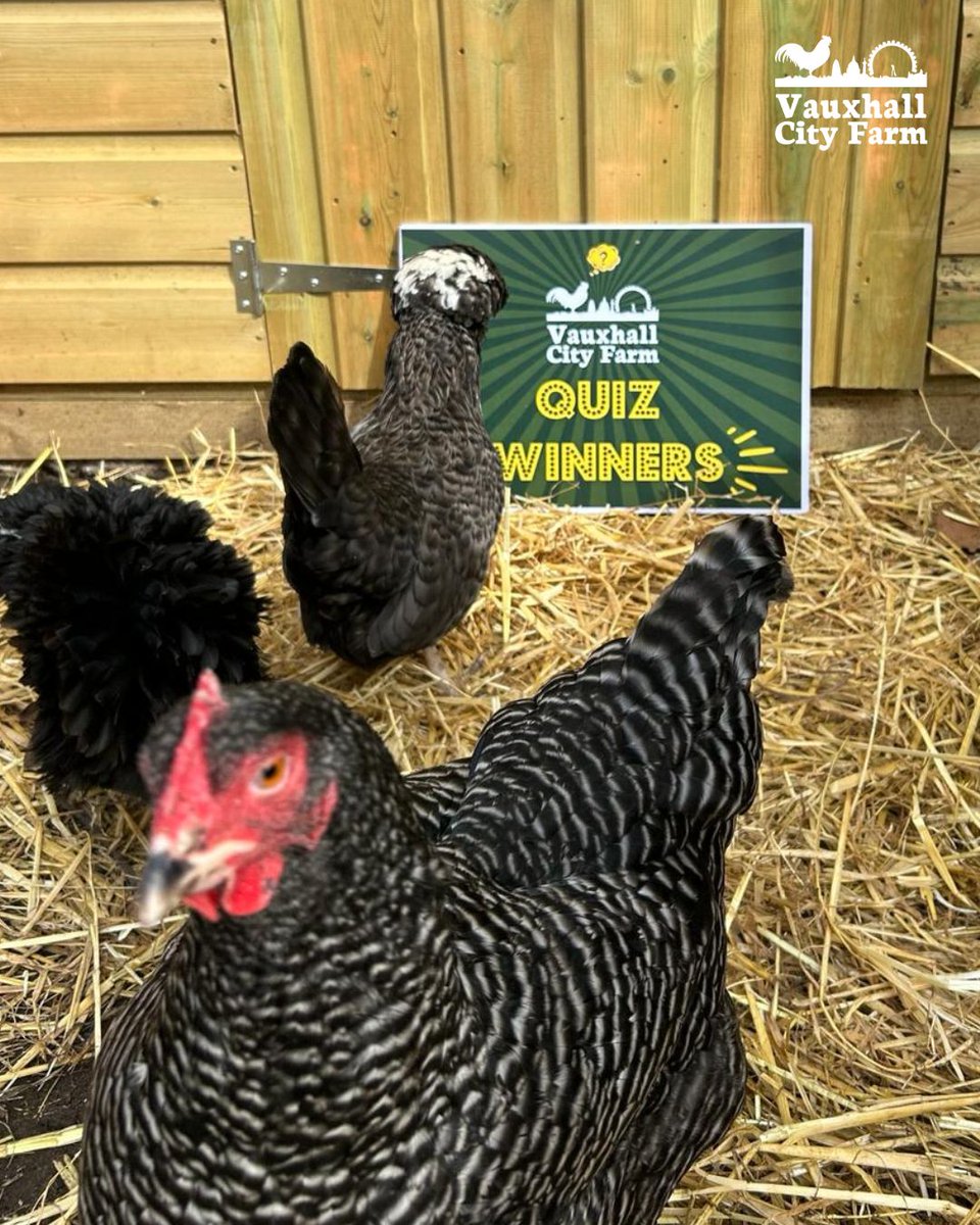 ⭐ WINNERS!⭐ Join us on Wednesdays for The Farms very own pub style Parent and Baby Quiz! Ages 0-5 years welcome. Includes entrance to The Farm, plus there's prizes to be won! Wednesdays from 5th Feb, 10:30am-11:30am.
Booking essential: buff.ly/4aiqPYH