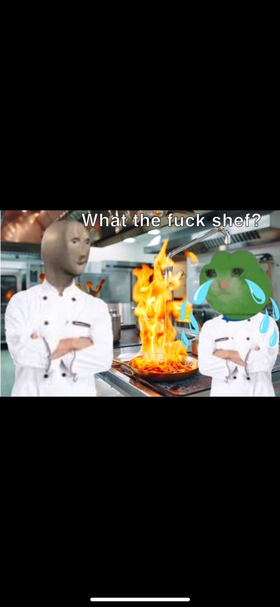 flyzard_'s tweet image. $shef 🤝 $sadcat