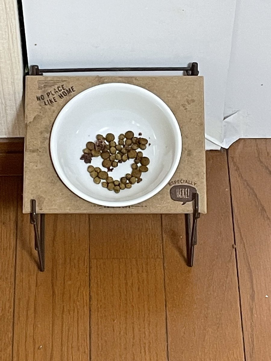 「ねこさまの食べ残しを見たらハート型…ハッ!これは私への愛のメッセージ( °ω°)」|ピヨのイラスト