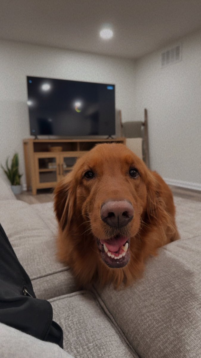 mcdaniel97's tweet image. my first house on my own🥺🤍