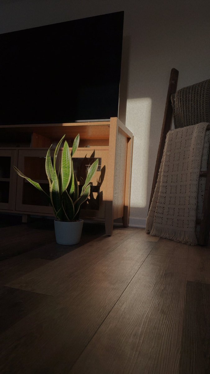 mcdaniel97's tweet image. my first house on my own🥺🤍