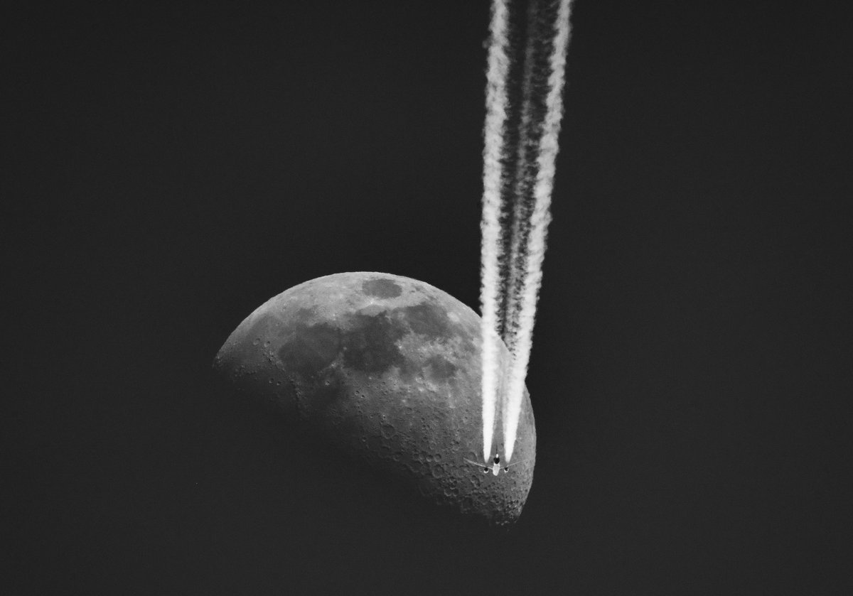 Robin Rowe tweet media