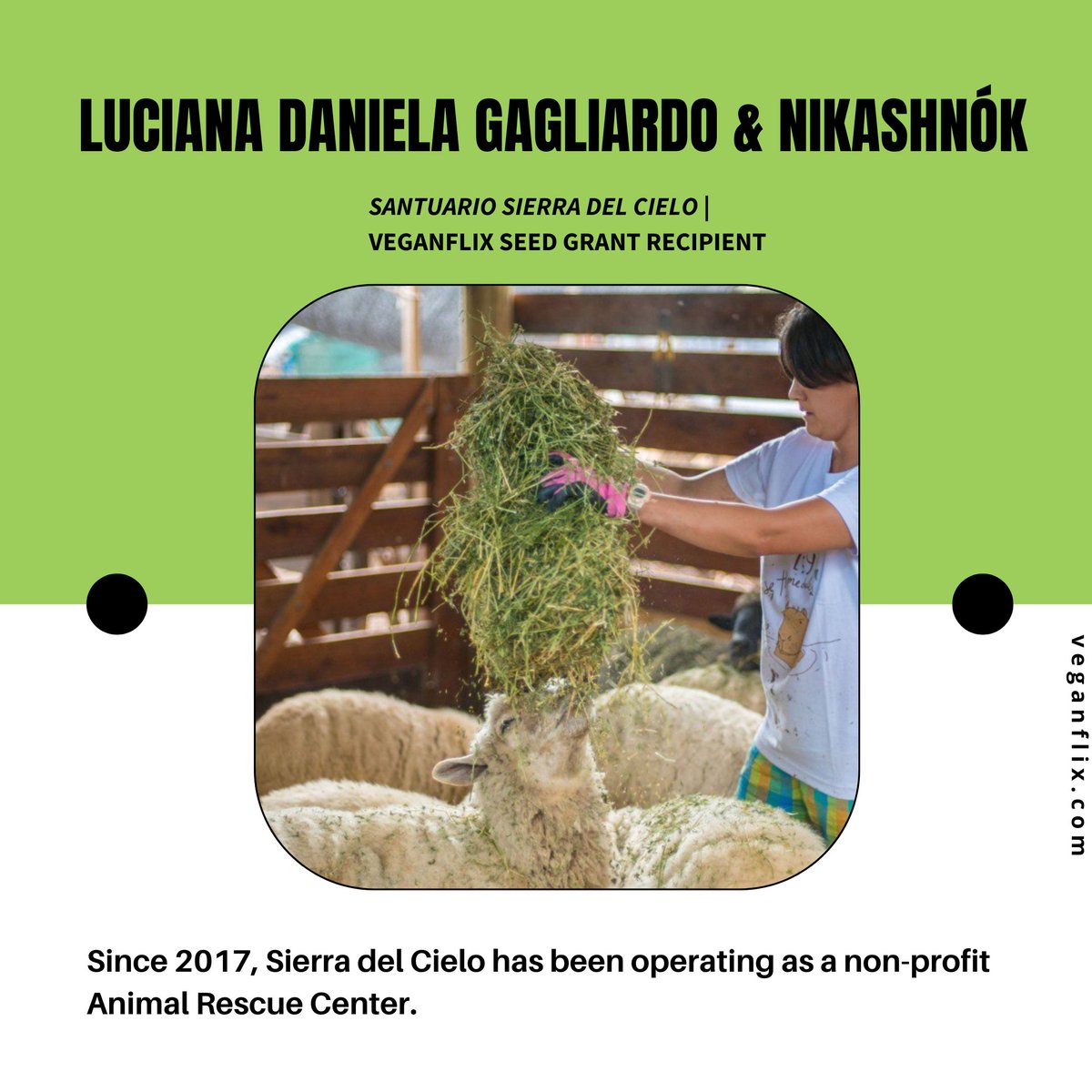 Vegan_Flix tweet picture