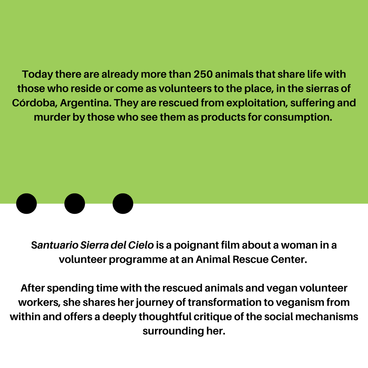 Our Filmmaker Spotlight continues! Today we have grant winner Luciana Daniela Gagliardo  and Nikashnók, of Santuario Sierra del Cielo. Keep reading to learn more about their impactful work and the great project they are working on.💡🎬

#films #grants #vegan