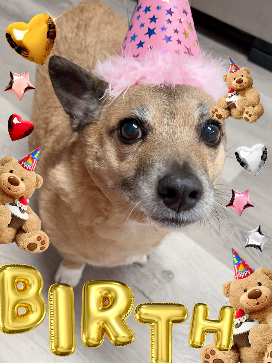 EmmieEtude's tweet photo. Pls help I have a 2.5k vet bill to pay now 🥲 my baby is going to have an emergency surgery on Friday, and I’ve been an emotional wreck.

 I need as much work as I can get… https://t.co/sNcvTk9j4O