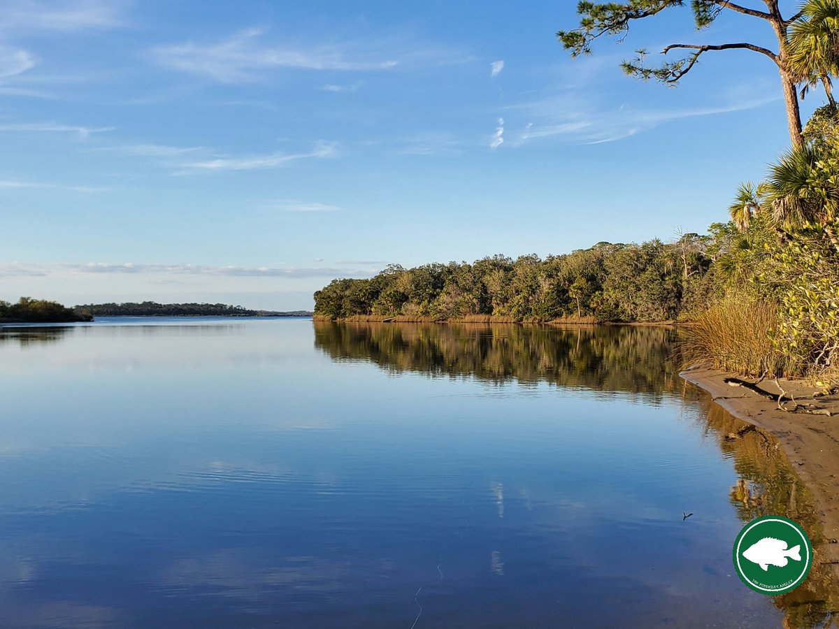 SuburbanAngler's tweet photo. Beautiful evening to throw a fly from the shoreline at Tomoka State Park!
.
#evening #fishing #flyfishing #flycasting #TomokaRiver #TomokaLagoon #TomokaStatePark #FLOutdoors #FlyFishFL #TheSuburbanAngler https://t.co/I7YUzBgIki