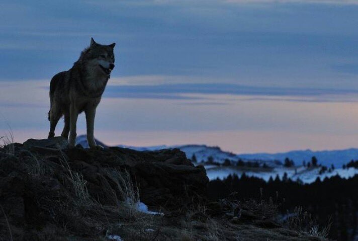 "From one thing, know ten thousand things."