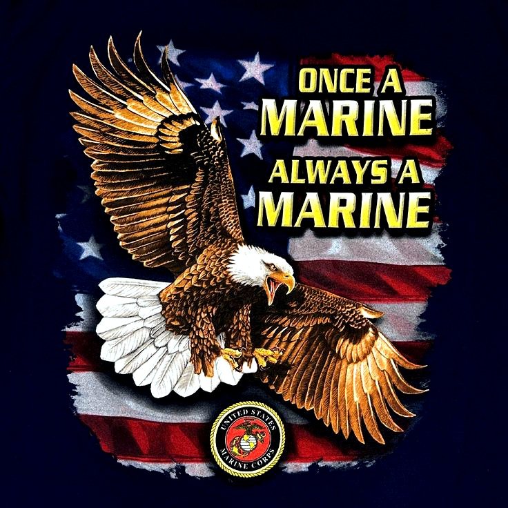 JACKIE JAX aka ANGEL EYES (@angeleyes11357) on Twitter photo ππππ, π½π πππ π¨, βππ‘π π€π₯
REPOST THIS POST AND FOLLOW OUR NEW BROTHER, USMC VETERAN πππ<a href="/DFMc12/">Snakedriver</a> ππΊπΈπ¦
βπππ«‘ OORAH ππππ, π½π πππ π¨, βππ‘π π€π₯
REPOST THIS POST AND FOLLOW OUR NEW BROTHER, USMC VETERAN πππ<a href="/DFMc12/">Snakedriver</a> ππΊπΈπ¦
βπππ«‘ OORAH