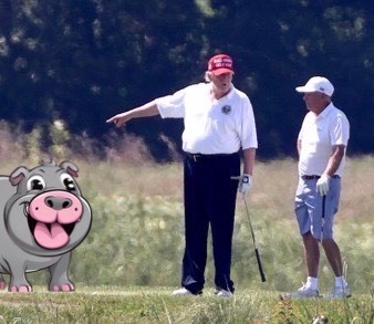 DOGDENG tweet media
