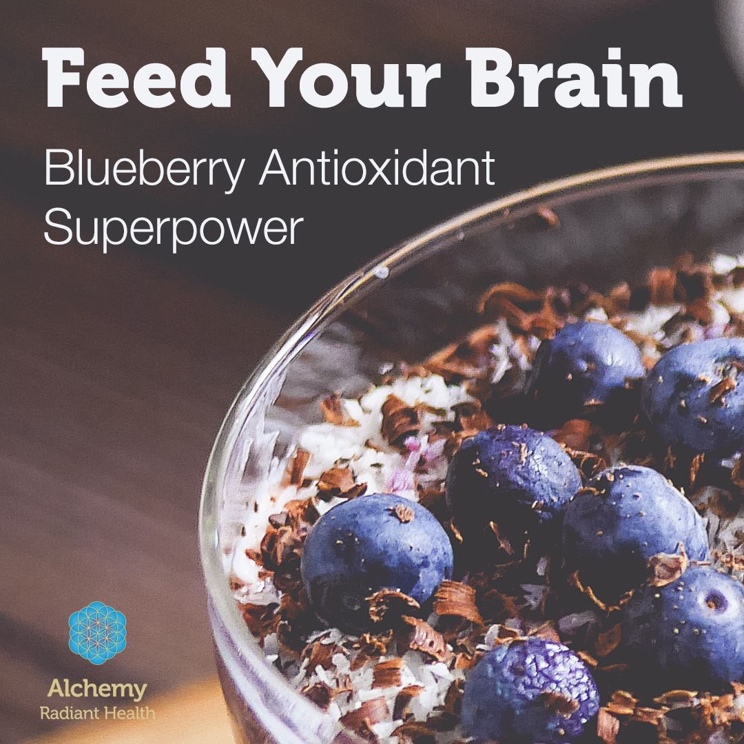 alchemyhealth's tweet image. Supercharge Your Brain with a Blueberry smoothie: Enhance your Memory and improve your test taking abilities #brain #superfoods #nootropics #entrepreneur
