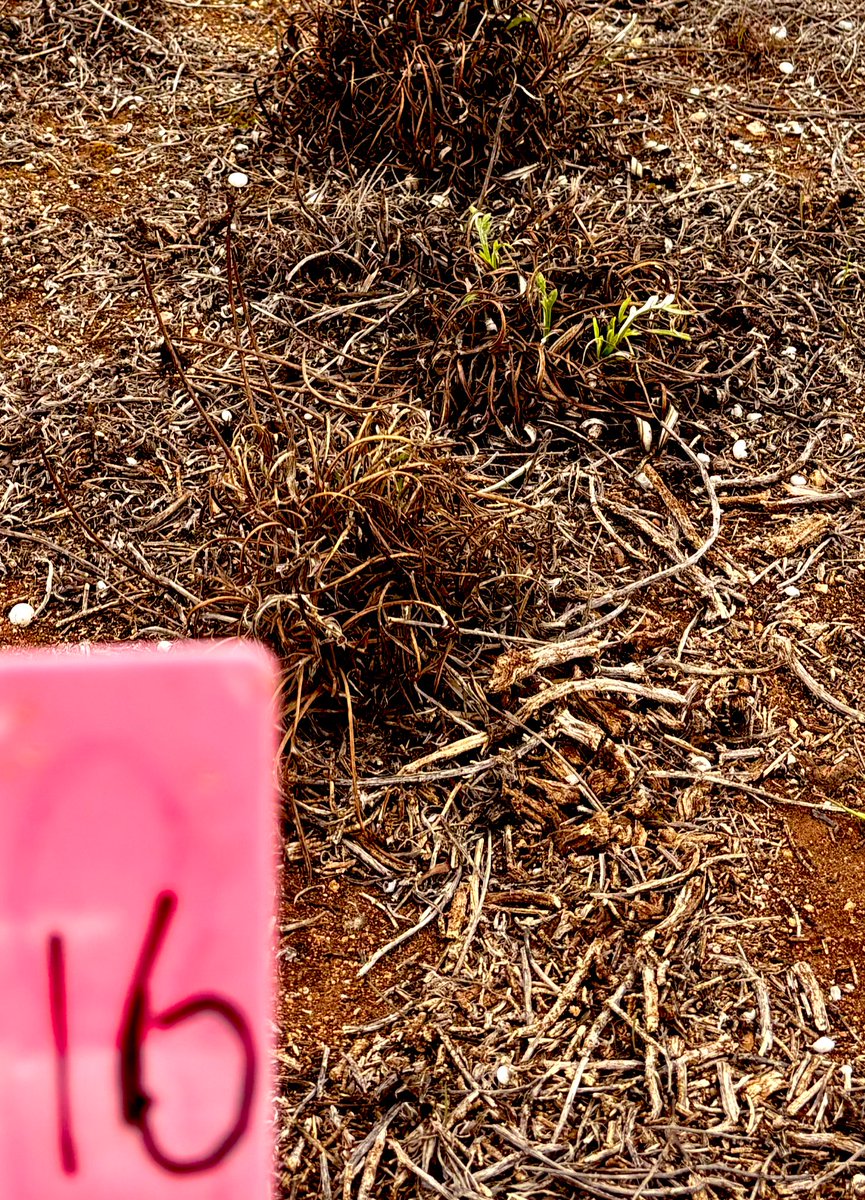 Cleve Rural Traders tweet media