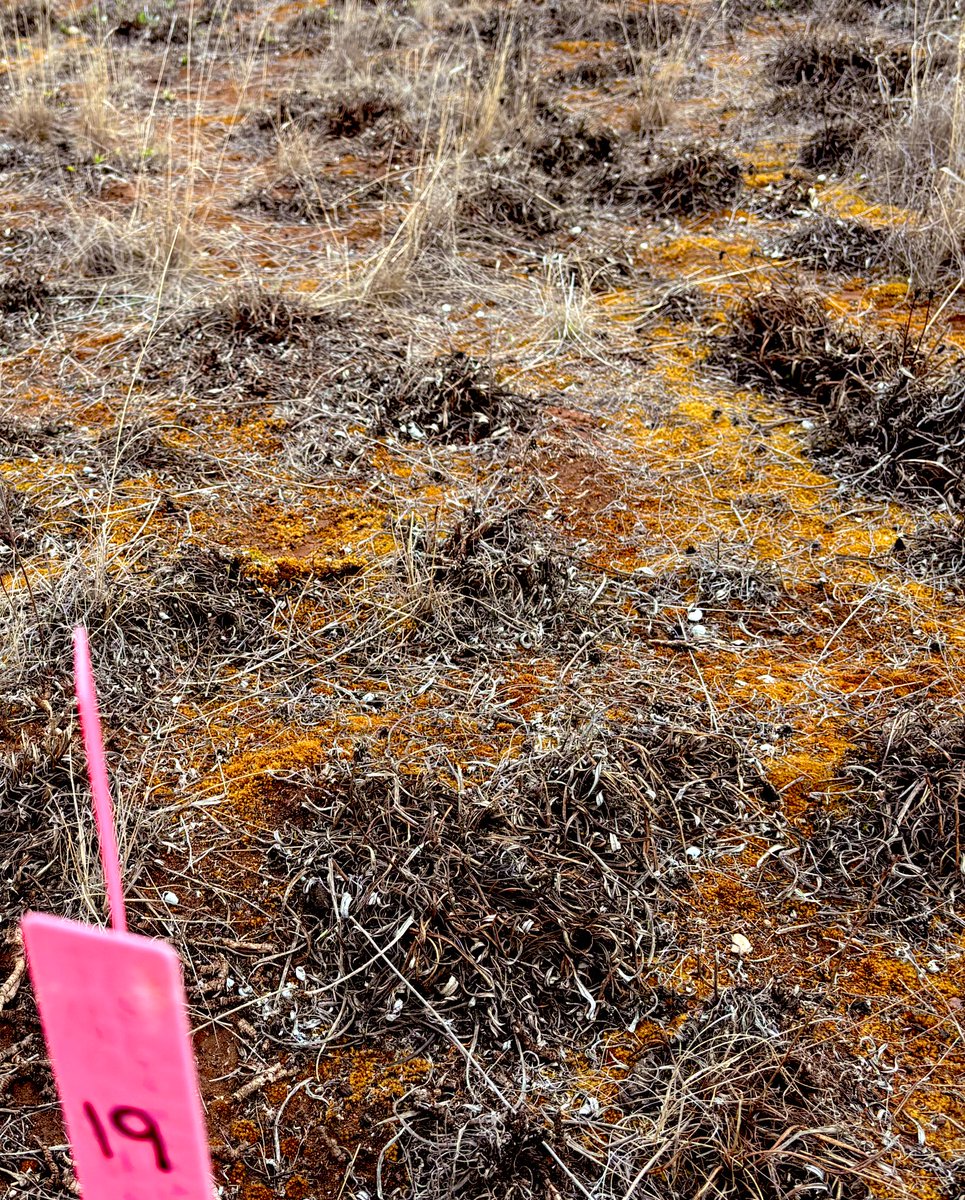 Cleve Rural Traders tweet media