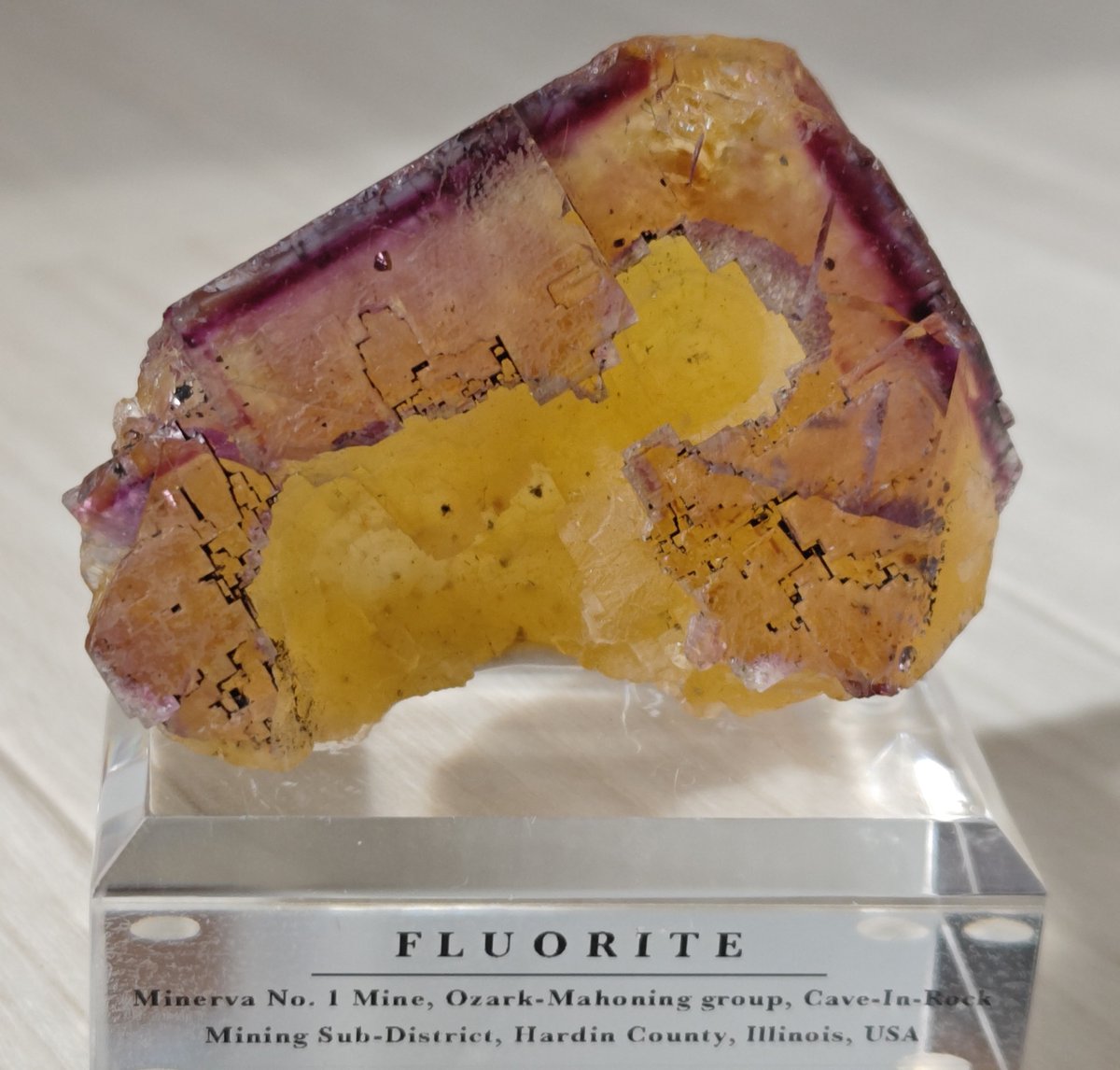 ひばち tweet media