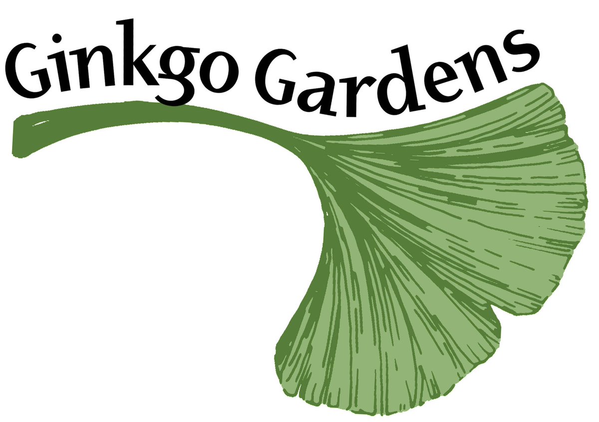 WDCGardener's tweet photo. Big thanks to @ginkgogardensdc for donating prizes and seeds to our WG Seed Exchanges! If you missed last Saturday’s event, we’ll be having another this Sat, 2/1 at #greenspringgardens. Details at #seedswapday website https://t.co/lPwHoVYXh4 #dc #dmv #ginkgogardens #gardencenters https://t.co/XklmcT4dB1