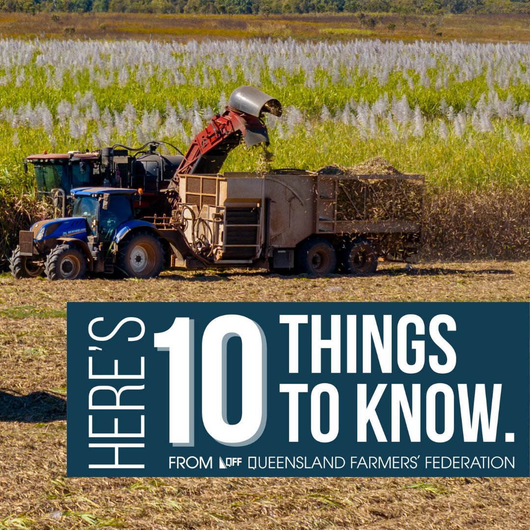 Queensland Farmers' Federation (@qldfarmers) on Twitter photo ๐ค Tickets for <a href="/CANEGROWERS/">CANEGROWERS</a> 2025 Sugar Cubed Conference are now on sale.ย #Sugarcane
๐งโ๐พ The <a href="/NationalFarmers/">National Farmers' Federation</a>'โ Federation has announced the appointment of Troy Williams as its new Chief Executive, effective 3 March 2025
๐ bit.ly/3E6SKPx ๐ค Tickets for <a href="/CANEGROWERS/">CANEGROWERS</a> 2025 Sugar Cubed Conference are now on sale.ย #Sugarcane
๐งโ๐พ The <a href="/NationalFarmers/">National Farmers' Federation</a>'โ Federation has announced the appointment of Troy Williams as its new Chief Executive, effective 3 March 2025
๐ bit.ly/3E6SKPx
