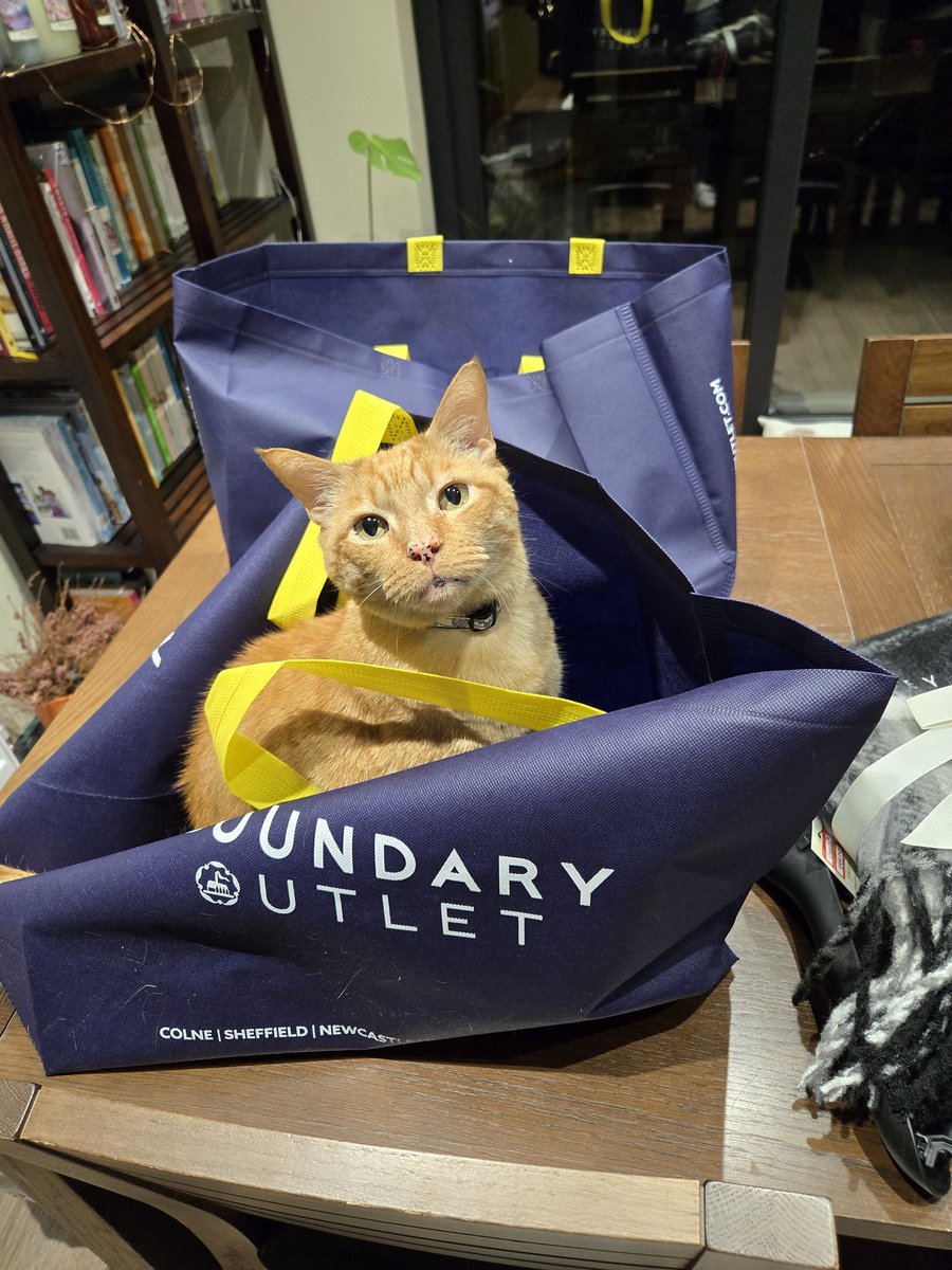 Erm, so what did you buy for me?!! I can't seem to find anything kitty related here?! 
Oops, sorry Tom. I am a very bad cat owner!