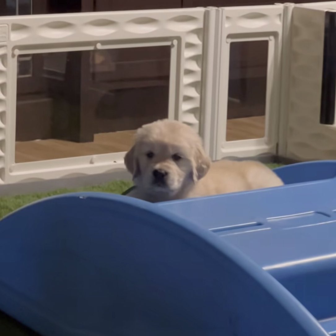 takemybear 🐶 tweet media