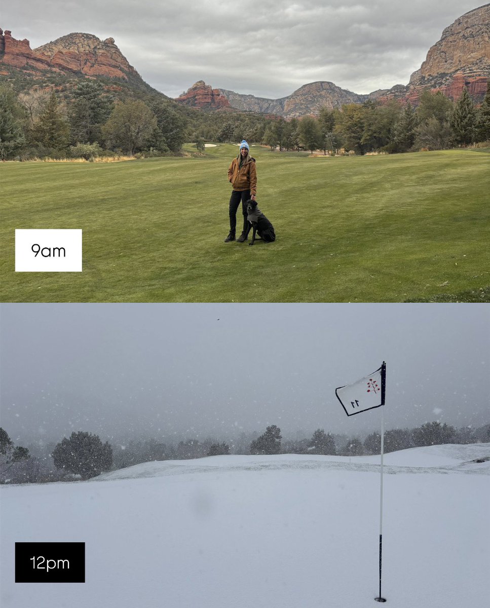 Em Casey tweet media