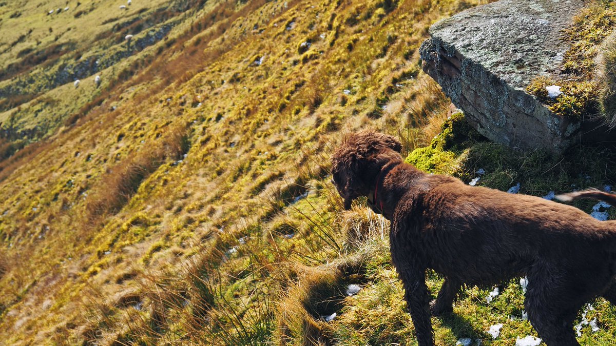 Mark Clavier tweet media