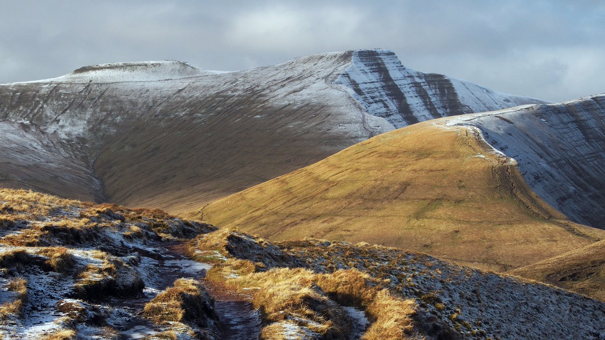 Mark Clavier tweet media