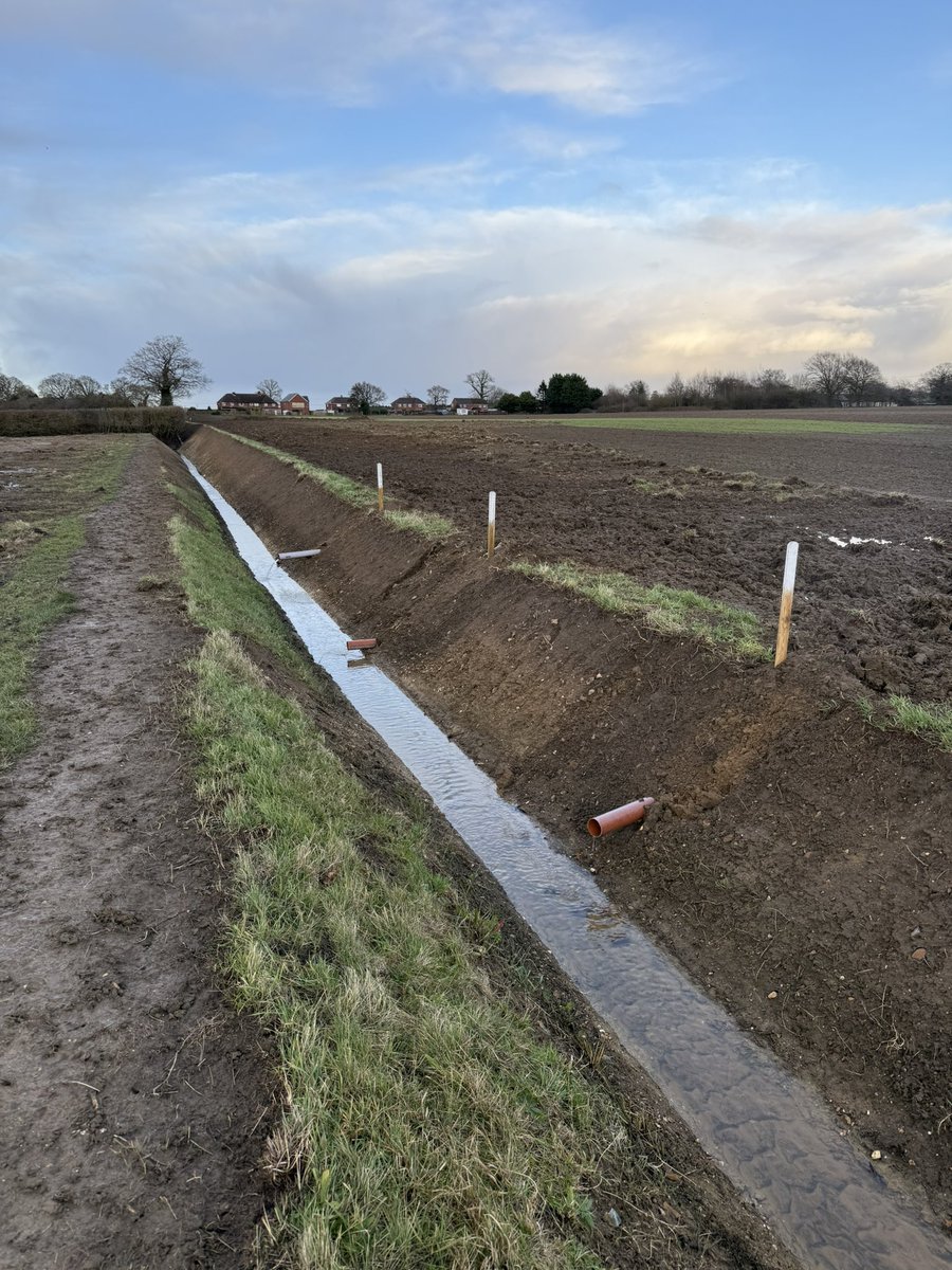 Matthew Carter tweet media