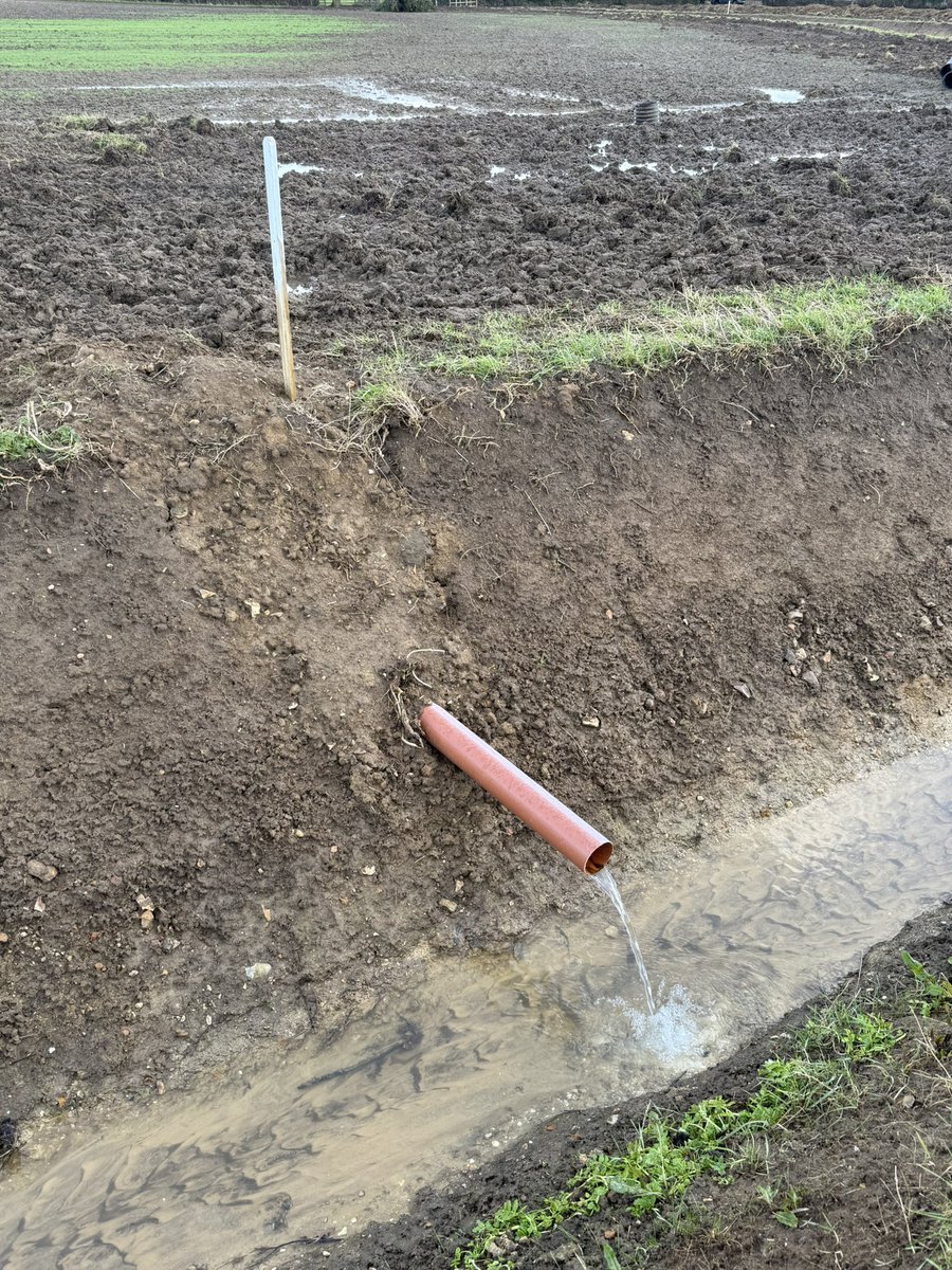 Matthew Carter tweet media