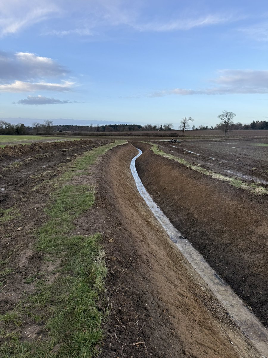 Matthew Carter tweet media