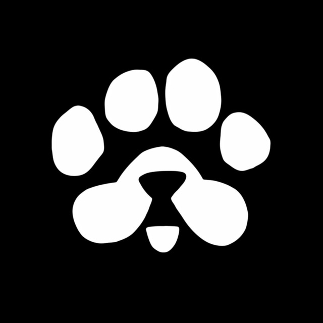 crypto99u's tweet photo. سيتم إطلاق السوق المسبق ل PAWS NFT$ خلال 24 ساعة؛ 28 يناير https://t.co/9mbkmzZ4Rt