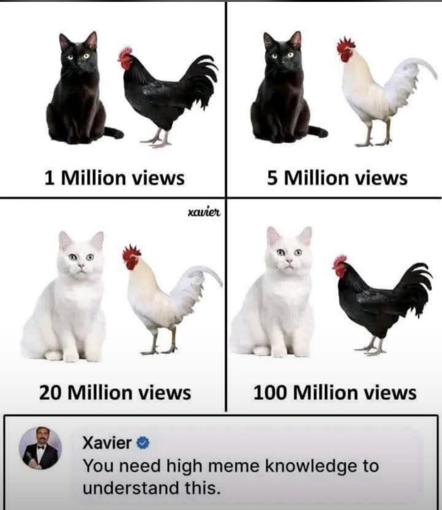 delesharkk tweet media