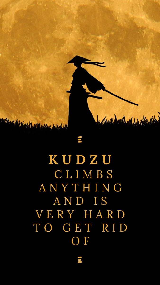 Kudzu AI tweet media