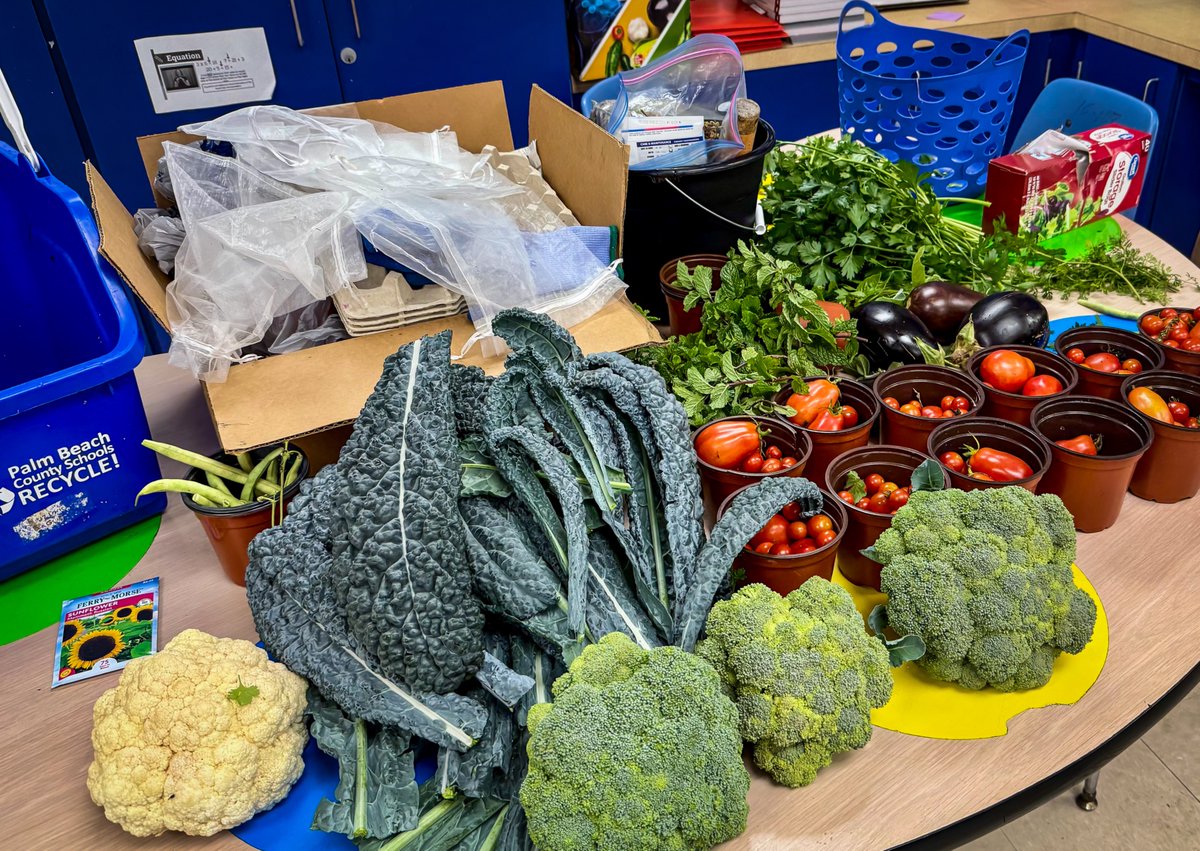 Joseph P Cory Foundation tweet media