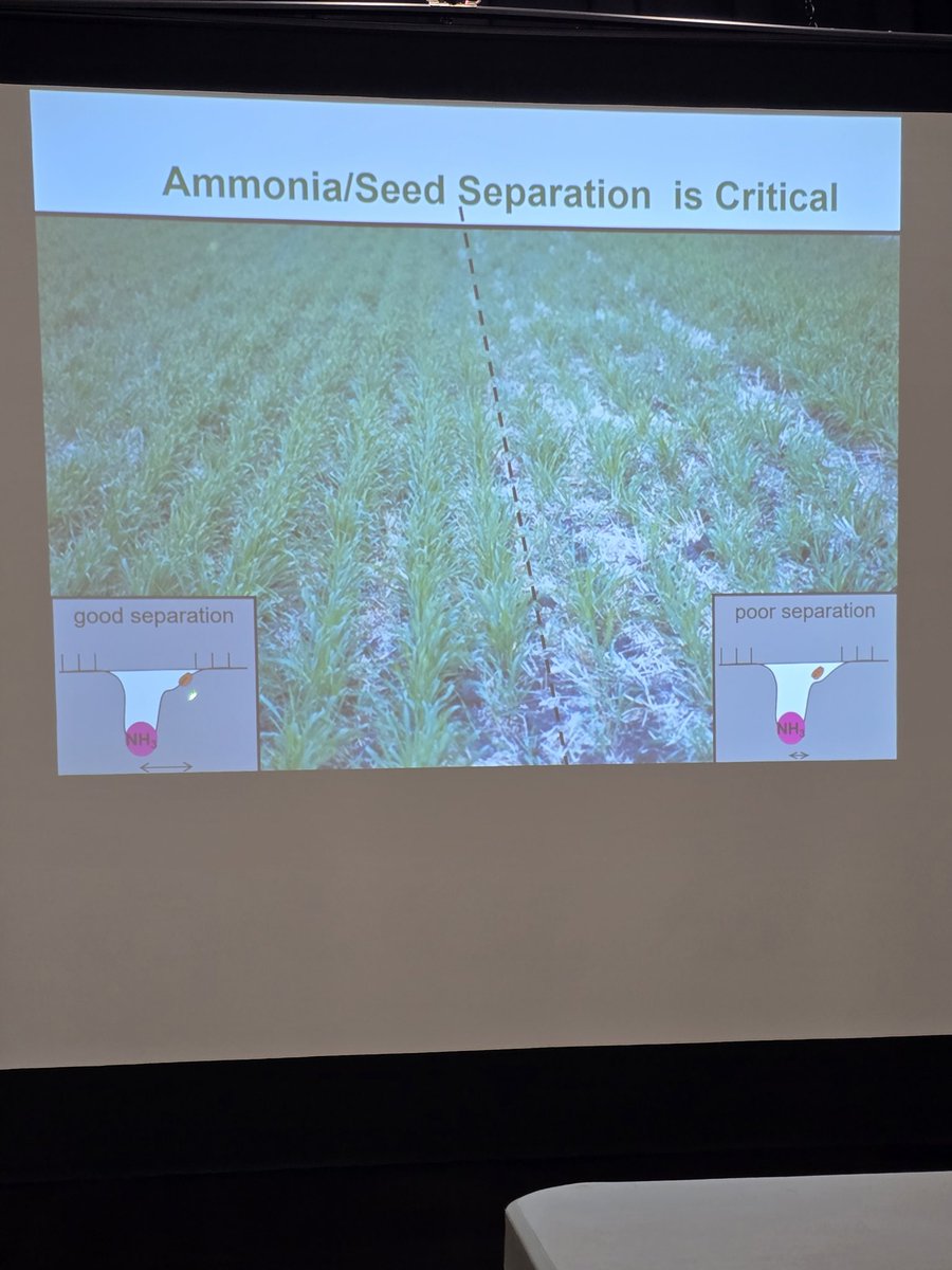 Awnsers to the bird watcher? 🐦