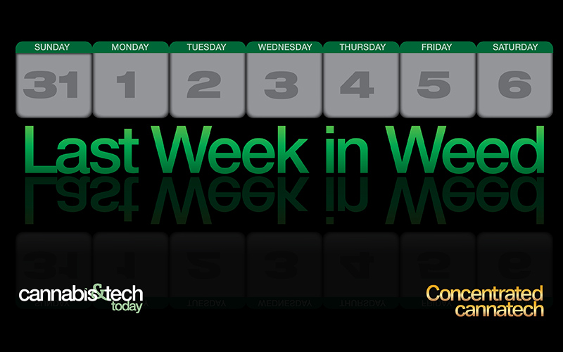 Last Week in Weed: Jan. 20th - 27th, 2025

Catch up on cannabis news! From banking updates to political battles  and cannabis as a sleep aid.

Click the link to read the full story! 👉 loom.ly/v35ADJk

#CannabisNews #mondaymood #mondayvibes #news #usa #dea #congress