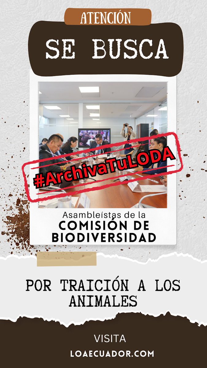 LoaEcuador's tweet photo. ¡No podemos permitir la regresión de derechos más alarmante para los animales en Ecuador! Exige a los asambleístas archivar este informe. #ArchivaTuLODA @CorteConstEcu @BiodiversidadAN

@sofisanchezu
@Yadira_Bayas_
@guidovargas1971
@CompsCordova
@MariuxiSanchezS
@mieles_bolivar https://t.co/DdIoO2Zg6L