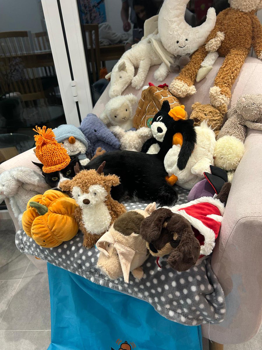 Guy Vellacott tweet media