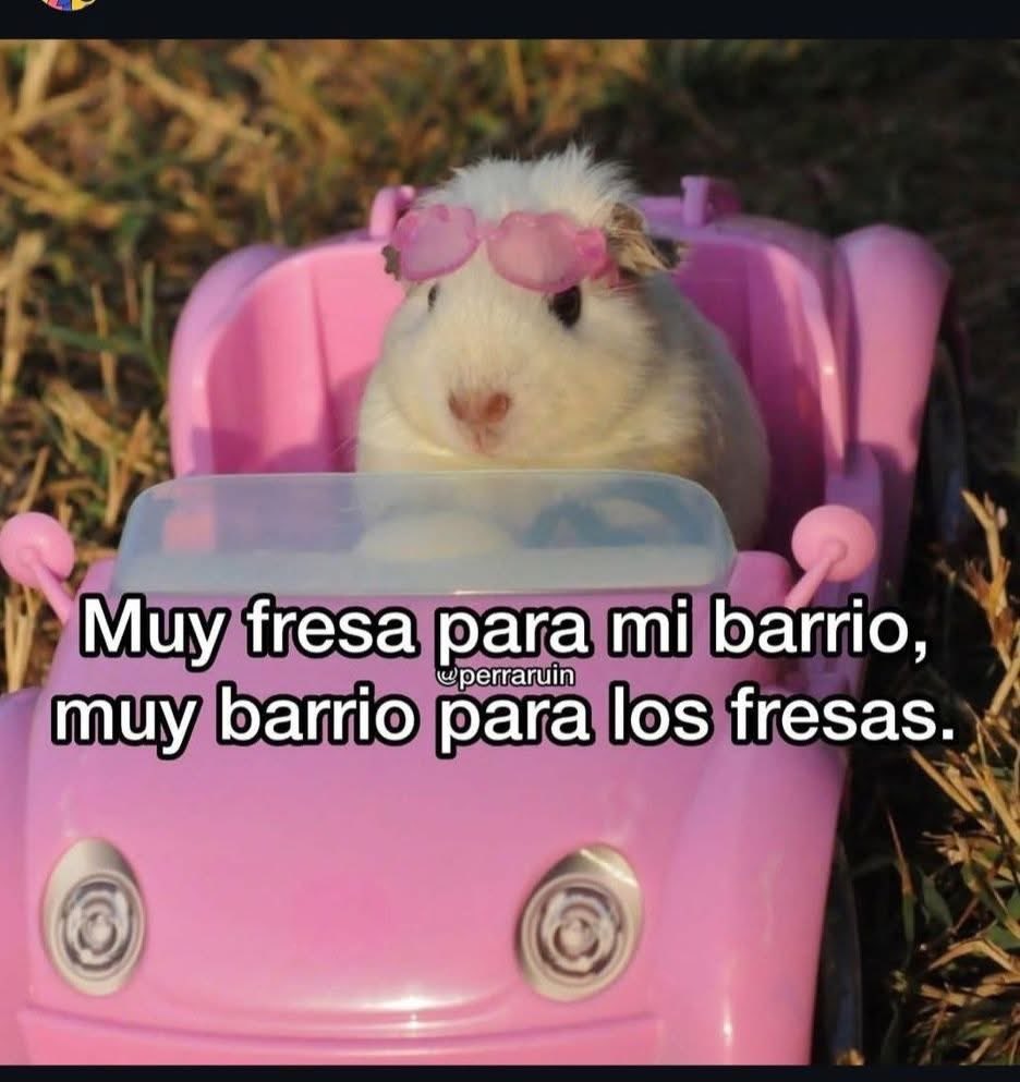 Y la clase de natación lo sabe 🤭
.
.
.
#Monday #Humor #Meme #Mood #Funny  #Swim #Swimming  #Class