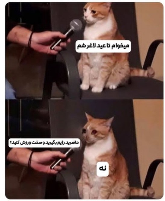 بریم برا فارم 
$SPAACE 
<a href="/spaace_io/">Spaace 🟠</a>