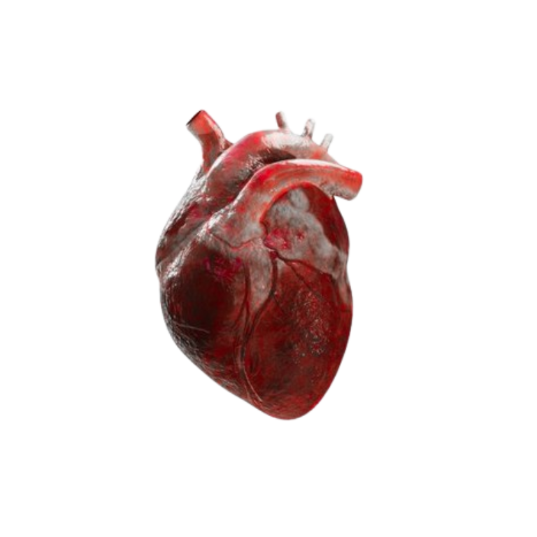 lunaasangrienta's tweet image. 𝓒𝐚𝐧𝐧𝐢𝐛𝐚𝐥 𝓖𝐢𝐫𝐥𝐟𝐫𝐢𝐞𝐧𝐝

ㅤָ࣪ 🩸she 𝓦𝐎𝐋𝐅ㅤᵎㅤ❛ㅤ 𝖈annibal   girlfriend , 
she  really  tore   you   apart. ㅤ

𝖈annibal   girlfriend ,
she   liked   the   taste   of   your  𝓱𝖊𝖆𝖗𝖙 .