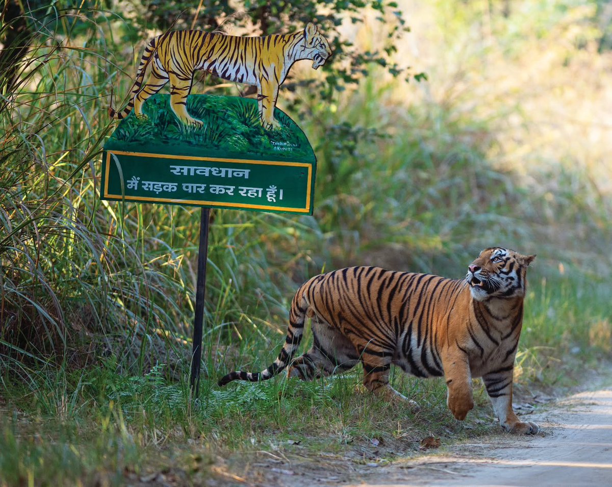 VagrantTravels's tweet image. 