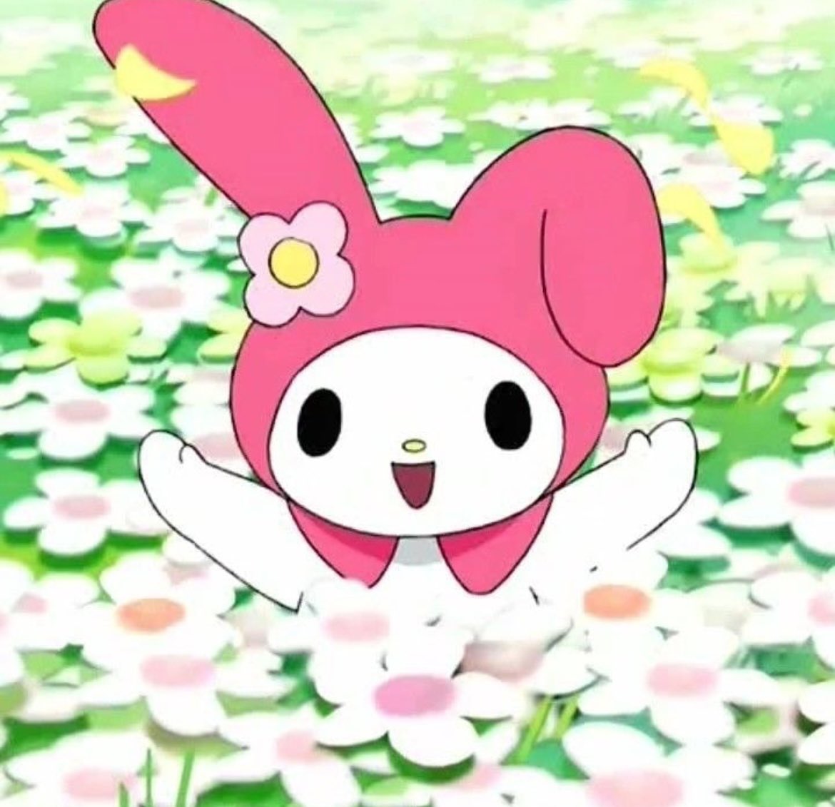 daily sanrio ʚ♡ɞ tweet media
