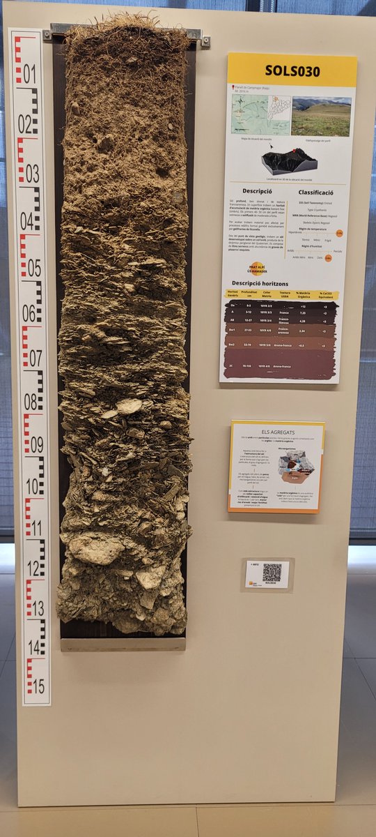 ColombianSoils's tweet photo. These are not soils from Colombia. Today, we explored the collection of soil monoliths from the Catalan Pyrenees at the @ICGCat in Tremp, as part of a visit with the Master en Gestió de Sols i Aigües from @UdL_info. It was truly a wonderful experience. https://t.co/a8ll1dU1BJ