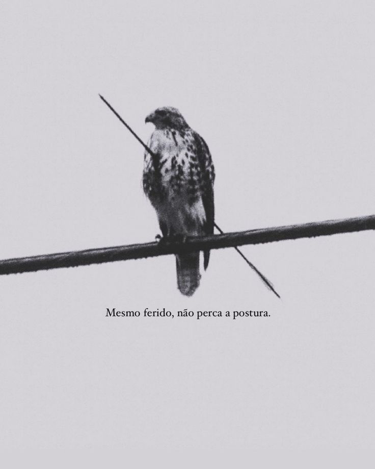 Frases (@inspireipoesia) on Twitter photo 