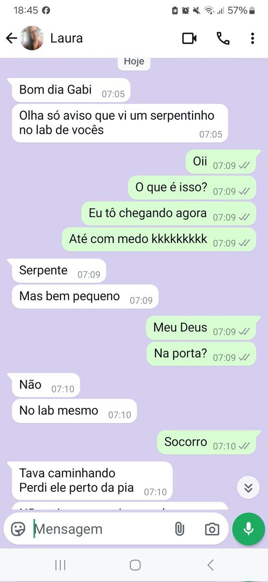 eugabitrisch's tweet photo. e hoje que apareceu uma cobra (pequena) no laboratório 
pelo amor de Deus 
se eu contar ninguém acredita kkkkkkkkk mas pior é que é verdade 
a Laura me mandou mensagem de manhã cedo e a cobra se escondeu e apareceu só de tarde 
realmente agora não falta mais nada https://t.co/fL3oAC1OjP