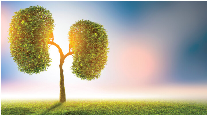 Speakers at the ASN Kidney Week 2024 Green Nephrology: Innovations That Address the Carbon Footprint Conundrum in Dialysis session argued that greener nephrology is essential in the face of climate change. bit.ly/KN170126-27