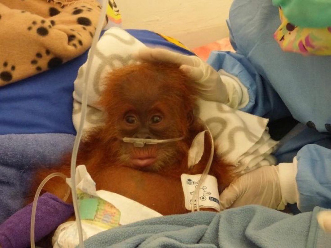 litos666✌🏽 tweet media