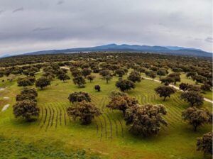 EcoHealthNet's tweet photo. We are thrilled to welcome Fundación Global Nature to the Ecological Health Network!
@FGlobalNature is a non-profit foundation dedicated to the protection of nature, combining technical rigor, ethical commitment, and innovation. https://t.co/Rd0LwbqrZk https://t.co/Bhfb4trvwg https://t.co/Sc2Xzx3k2e