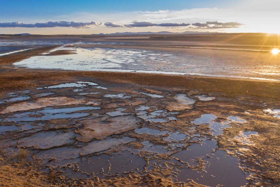 We are thrilled to welcome Fundación Global Nature to the Ecological Health Network!
<a href="/FGlobalNature/">Fundación Global Nature</a> is a non-profit foundation dedicated to the protection of nature, combining technical rigor, ethical commitment, and innovation. buff.ly/3CdoEcQ buff.ly/4gjlguN